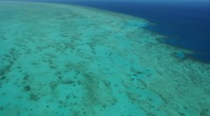 Aerial views of The Great Barrier Reef are seen from above on August 7, 2009 in Cairns, Australia. 