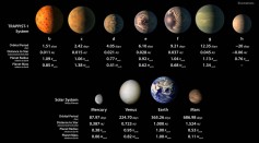 About Seven Planets In Habitable Zone Of An Ultra cool Dwarf Star 