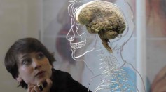 The Real Brain Exhibit @Bristol Science Centre