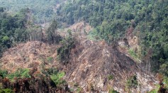 An aerial view of forest destruction of Gunung Leuser National Park on March 21, 2016 in Aceh, Indonesia. 