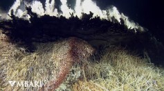 Pescadero Basin: Deepest hydrothermal vents in the Gulf of California
