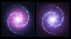 Comparison of rotating disc galaxies in the distant Universe and the present day