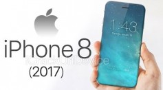 Apple iPhone 8 OLED screen