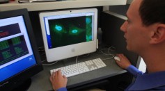 PhD graduate student Misha Horowitz looks at stem cells on a computer during research at the University of Connecticut`s (UConn) Stem Cell Institute at the UConn Health Center on August 27, 2010.