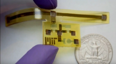 New 3-D-printed device mimics the Goldbug Beetle, which changes color when prodded.