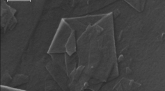 A powder containing a little graphene flakes. The image was obtained using a scanning electron microscope.