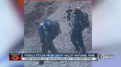 Fossils stolen from Death Valley National Park