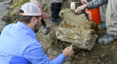 Oct 16. Idaho State University geology student Travis Helm cleans Mammoth skull found in American Falls, Idaho. 