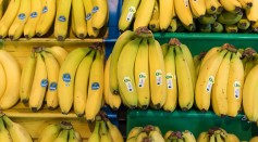 Persons suffering from hypertension or high blood pressure are urged to increase their potassium intake to help lower their sodium levels and bananas are one potassium-rich fruit.