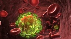 Researchers Found Antibodies to Protect the Cells From HIV