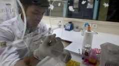 A lab technician works on testing blood samples for malaria from the field at the Institute Pasteur of Cambodia Epidemiology Molecular Unit July 23, 2010 in Phnom Penh.