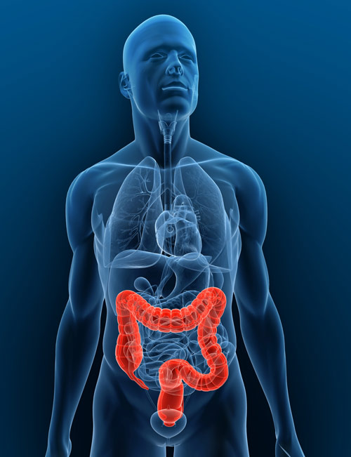 What Causes Bowel Cancer In Young Adults - 6 Effective Ways to Return to Normal Bowel Movements ... / Following liver resection, chemotherapy would normally be given.