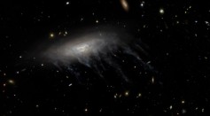 Cosmic Jellyfish - 3D visualisation of spiral galaxy ESO 137-001 - artist's impression #HubbleESA
