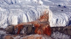 Antarctica has its Blood Falls mystery going on for a century already but was recently solved by scientists.