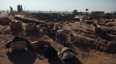 Egyptian Funerary Gardens Latest Discovery