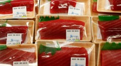 Frozen ahi tuna cubes in Hawaii were recalled due to being positive in Hepatitis A contamination