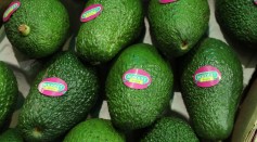 Avocado Demand Outstrips Supply