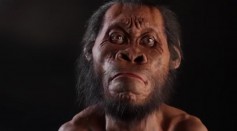 Depiction of ancient human being Homo Naledi, that roamed the Earth 335,000 and 236,000 years ago. 