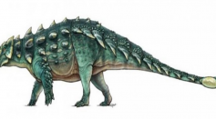 So-called dinosaur by creature Ghostbusters: found in Montana 75 million years after his death.