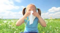 Global Warming Makes Allergies More Intense