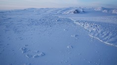 Northern polar area