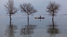 A fisherman passes near dead trees standing in flood waters from rising sea levels in Bedono village on December 12, 2013 in Demak, Central Java, Indonesia