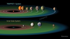 The NASA digital illustration handout released on Feb. 22, 2017 showing the TRAPPIST-1 system containing a total of seven planets, all around the size of Earth. 