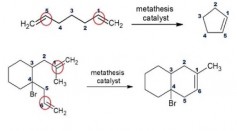 Organometallic Chemistry and Olefin Metathesis