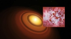 Artist’s impression of the disc around the young star TW Hydrae