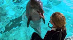 Underwater Interactive Touchpad For Dolphins