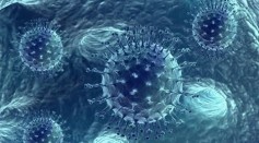 New Designer Virus Developed To Battle Cancer Cells