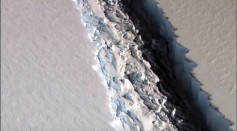 Antarctica's Larsen C ice shelf was reported to shed a 5,000 square kilometer iceberg in a matter of months.