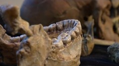 Earliest Kind Homo Sapiens Fossils Discovered in Morocco