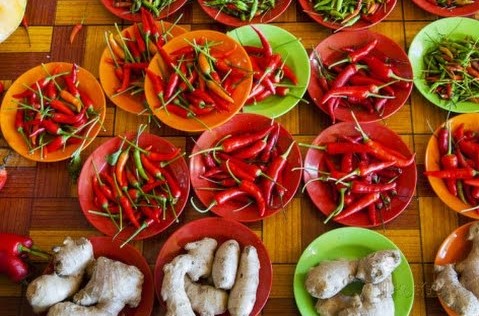 Chili Peppers Contain Hot Substance That Serves As Clue To Treat