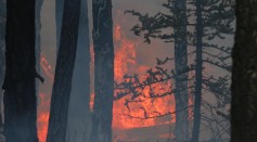 A wildfire burns through trees and ground cover on June 25, 2017 outside Panguitch, Utah