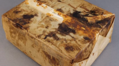 106 year old fruitcake found in Antarctica 'looked and smelled edible