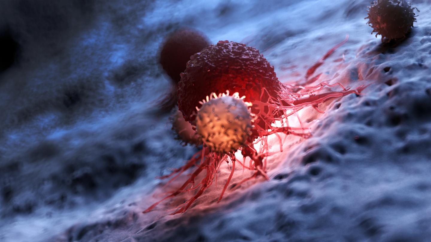 Scientists devise strategies to counteract T cell ...