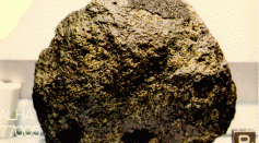 Exterior view of ALHA 77005 showing small patches of fusion crust