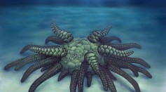 Reconstruction of Sollasina cthulhu. 