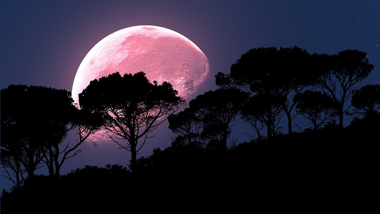 April’s Pink Moon Will Be in the Sky Tonight, But Why Is It Called