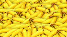 Bananas