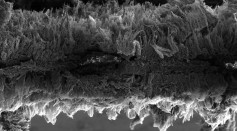 This microscopic image of graphene sheets created at Rice University is a two-layer filter which traps pathogens then electrocutes them. 
