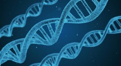 DNA and Rare Genetic Diseases