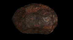 The Wedderburn Meteorite.