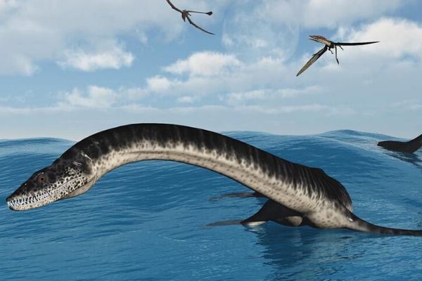 The Bones of Aquatic Reptiles Were Solely Evolved for Swimming in  Prehistoric Seas | Science Times
