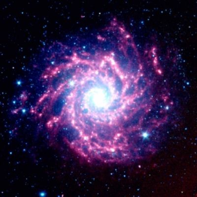 Supernovae: Cradles of Creation and Harbingers of Destruction in the Known Universe