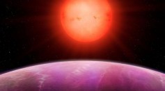  Will Humanity's Next Exoplanet We Will Travel to Will Have Evolved Flora and Fauna When We Get There