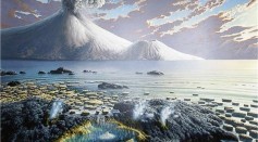  RNA Is the Key to the Building Blocks of Early Life in the Primordial Soup of Early Earth