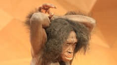 Neanderthals Bury Their Dead with Compassion