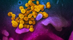 Coronavirus Mutation Could Upend Vaccine Development Around the World